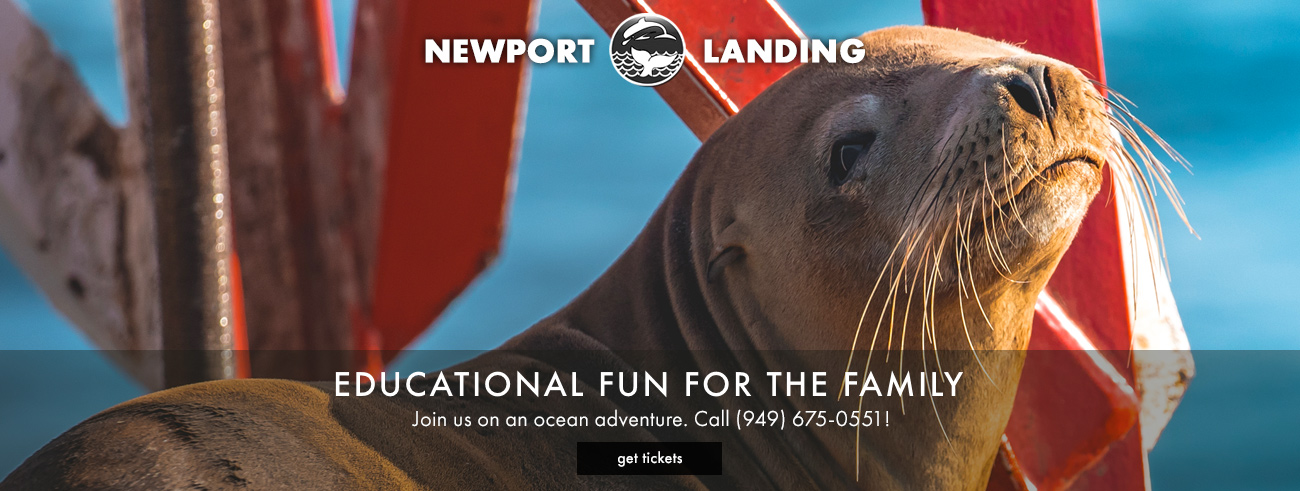 Southern California's premiere whalewatching stop - Newport Landing